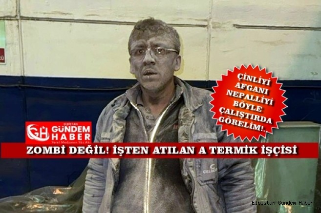 Afgan Değil TÜRK!..  
