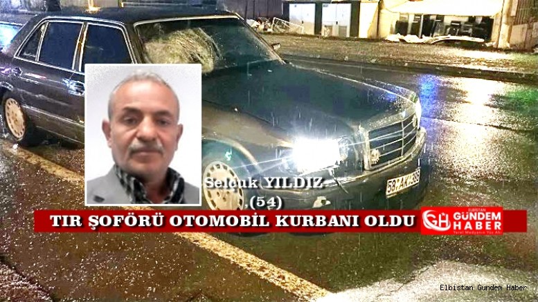 Elbistanlı TIR Şoförü Yaşama Tutunamadı