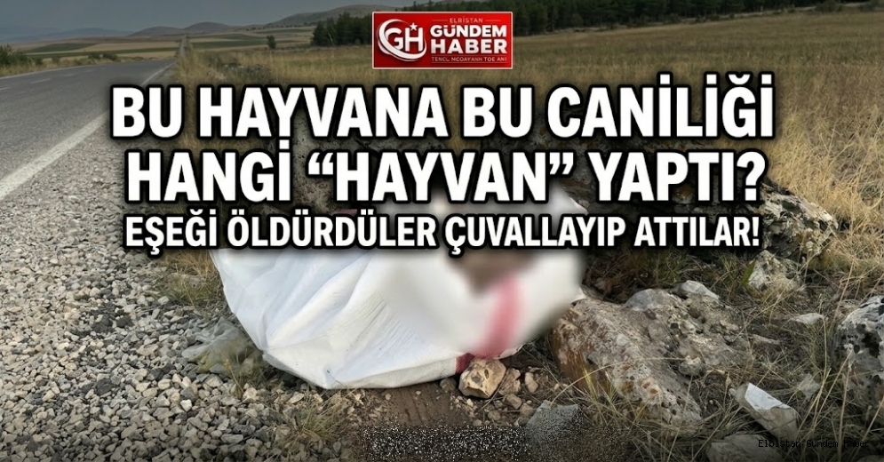 Eşeğe Bunu Yapan İnsana Ne Yapmaz?..