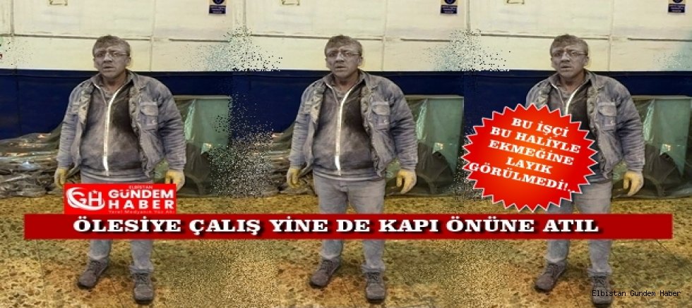 Afgan Değil TÜRK!..  