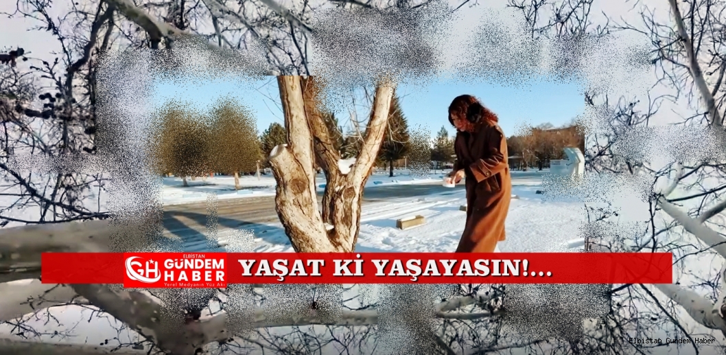 YA KUŞLAR SUSAR İSE ?..