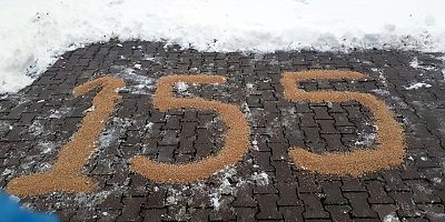 155 Kuşlara Yem Attı!