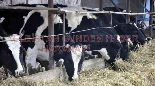 16 Bölge Karantina Altında