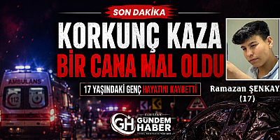 17 Yaşında Hayattan Koptu