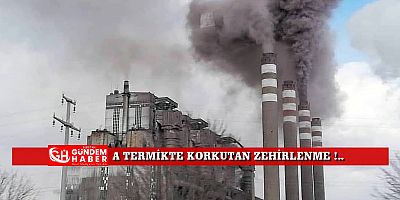 A Termikte İşçiler Zehirlendi