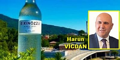 Adı ACI Tadı ŞİFA