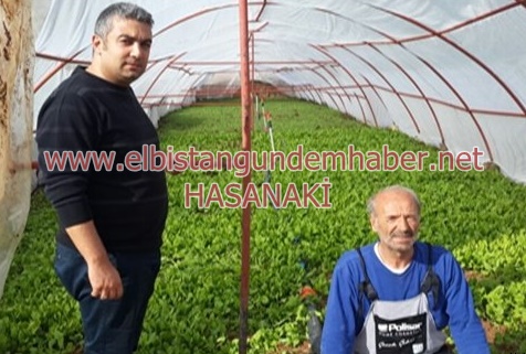 Al Sana Yer Altı Serası