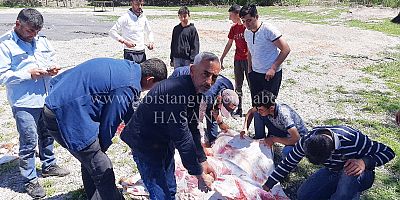 Bereketli Yağışlara Şükür Kurbanı