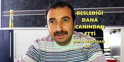 Beslediği Dananın Kurbanı Oldu