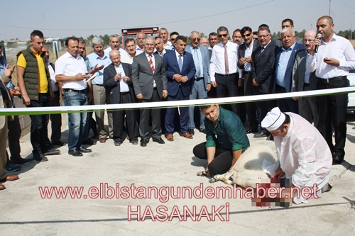 Beyaz Altın Üretimi Başladı