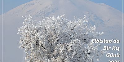 Beyaz SAVAŞI Ayaz YARIŞI