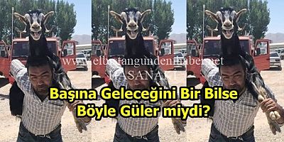 Bir Bayram Hatırası!..