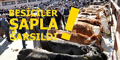 Bir Sen Eksiktin ŞAP!