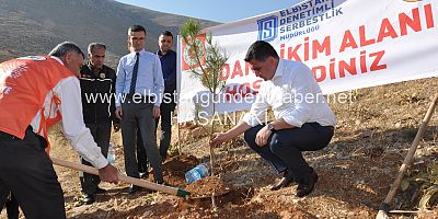 Bu Fidanlar Orman Olsun