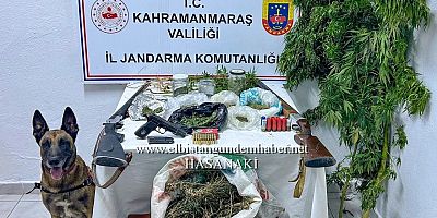 Bu İşi İyice Azıttılar!..