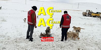 Can Dostlara Dost Eli Uzandı