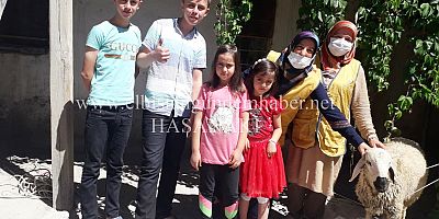 Canlı Kurbanlık Dağıttılar