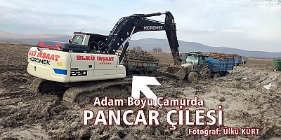 ÇİLE ÇİFTÇİM ÇİLE!