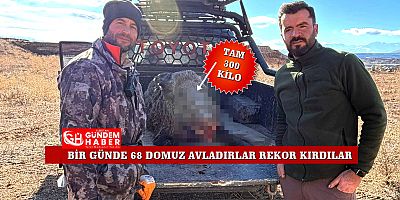 DOMUZLARA GEÇİT YOK!..