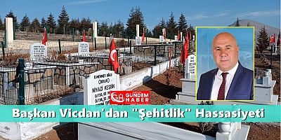 Ekinözü Şehitliği Bayraklarla Süslendi