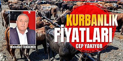 “Ekonomik Durum Besiciliği Vurdu”