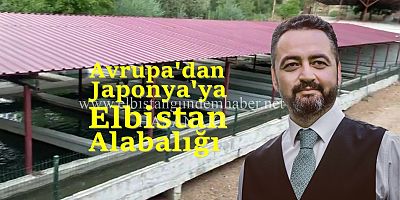 Elbistan Alabalığı Dünya Pazarında