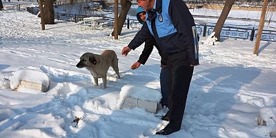 Elbistan Belediyesi’nden “Örnek Hizmet”