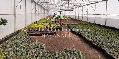 ELBİSTAN ÇİÇEKLERLE BEZENECEK