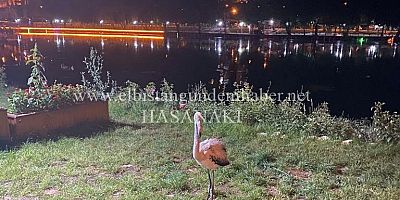 Elbistan’ın Gölleri Yoldan Çıkarıyor!..