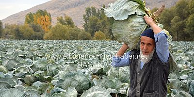 Elbistan Lahanası Twitter’i Salladı