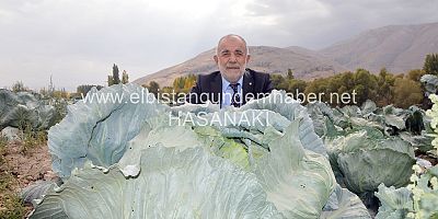 Elbistan Lahanasını Tanı TÜRKİYE!