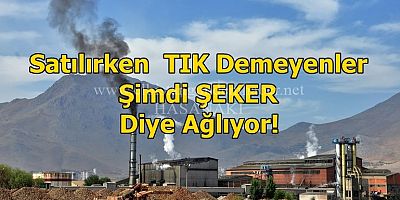 Elbistan ŞEKER Komasında!