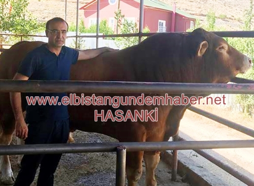 Elbistanlı Besicinin Acı Sonu