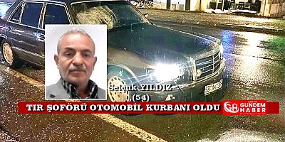 Elbistanlı TIR Şoförü Yaşama Tutunamadı