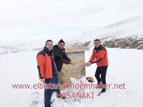 ELOFF Gönüllerde Taht Kurdu