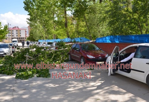 Fırtına “ZARAR” Esti!