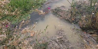 Geleneksel CEYHAN KATLİ Başladı