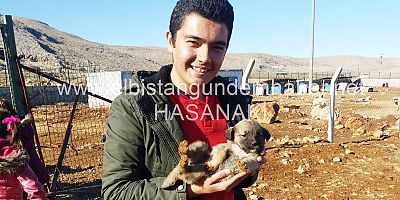 Gönülden Sevdiler Elleriyle Beslediler