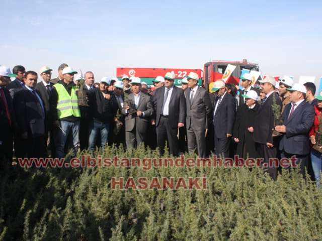 Güneşi Çalan Dağ Orman Olacak