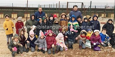 Harçlıklar Sokak Hayvanlarına Harcandı