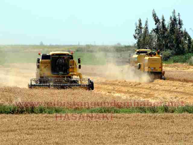 Hasat Kazası: 1 Ölü