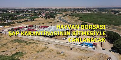 Hayvan Borsası 2 Gün Açık Olacak