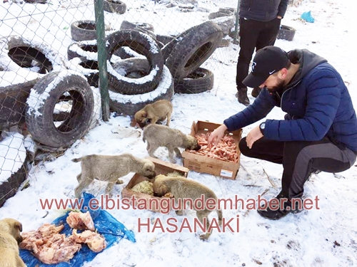 Hoş Geldin ELHAYKODER