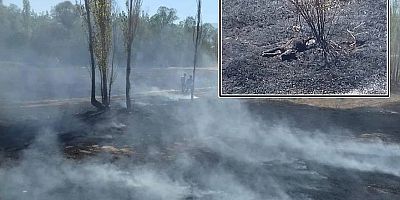 İğde’de Felakete Kıl Payı