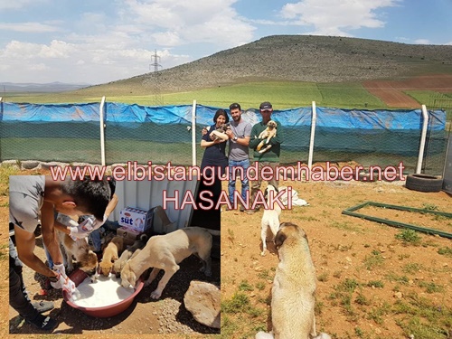 İşte Bu Güzel Bir Haber!..