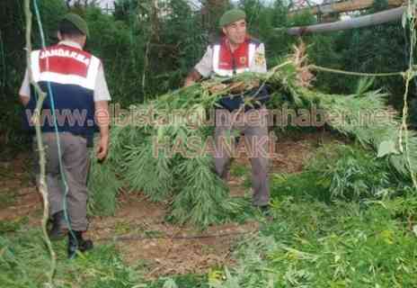 Jandarmadan Uyuşturucuya Darbe