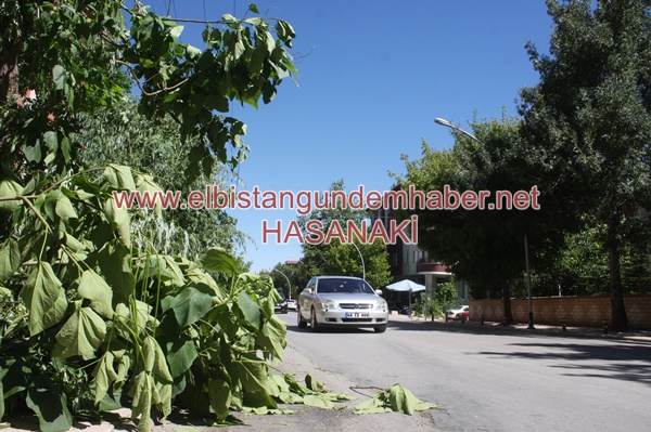 Katliamın Adı: TEDBİİİR!