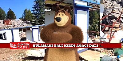 Kızgın AYI Yıktı Geçti