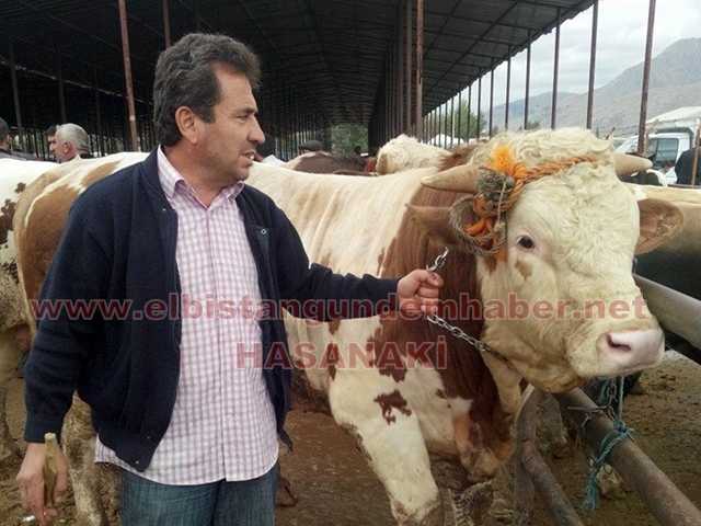 Kurbanlıklar Görücüye Çıktı