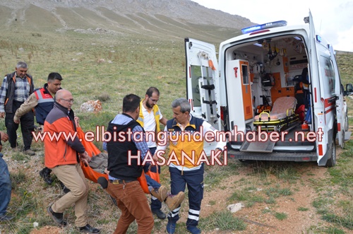Mantar Hayatına Mal Oluyordu